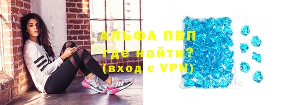 прущие крисы Ельня