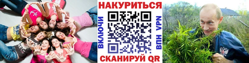Купить где  Похвистнево  Канабис сатива 